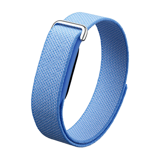 Watch Google Fitbit Air - Lavender