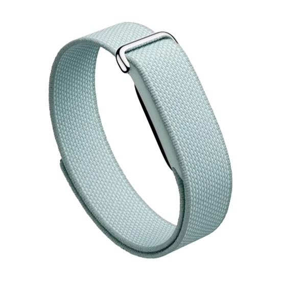 Watch Google Fitbit Air - Fog